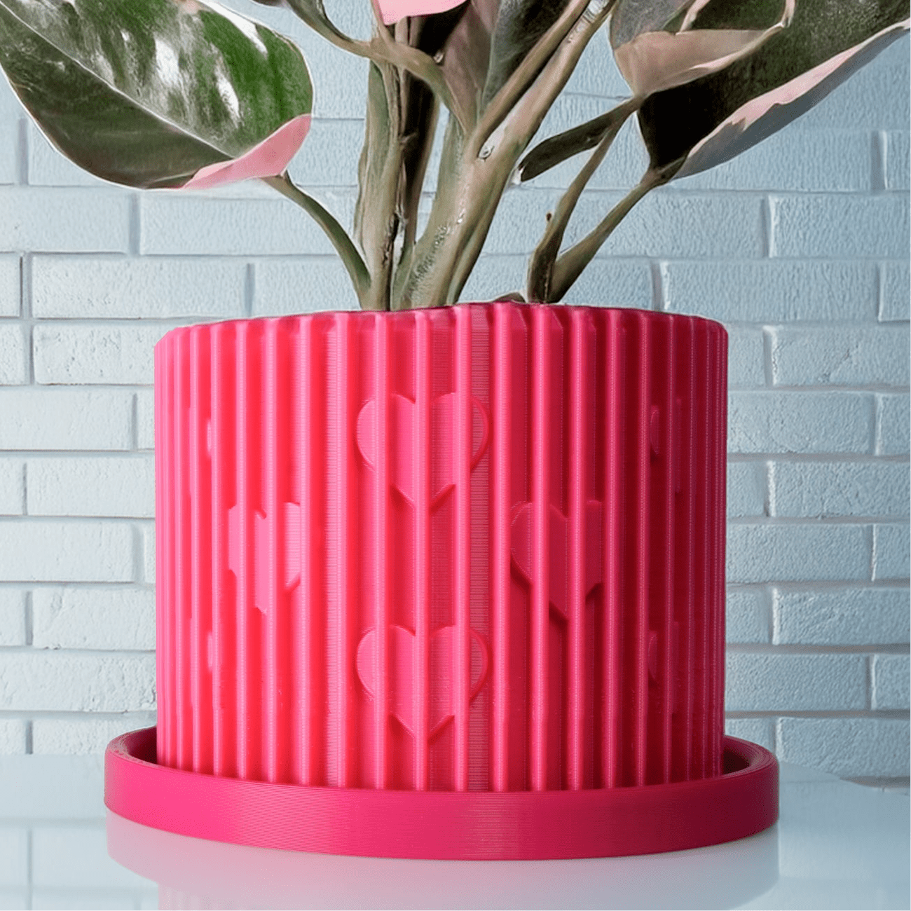 Modern Heart - Shaped Planter with Drainage & Saucer – Unique Valentine’s Day Gift for Plant Lovers, 3d Printed Planter Home Hosting Decor, - HearthHub