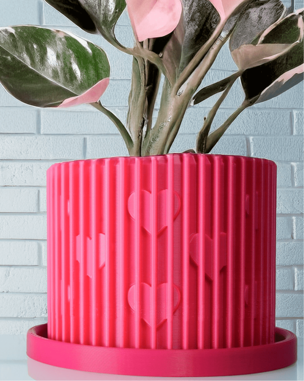 Modern Heart - Shaped Planter with Drainage & Saucer – Unique Valentine’s Day Gift for Plant Lovers, 3d Printed Planter Home Hosting Decor, - HearthHub