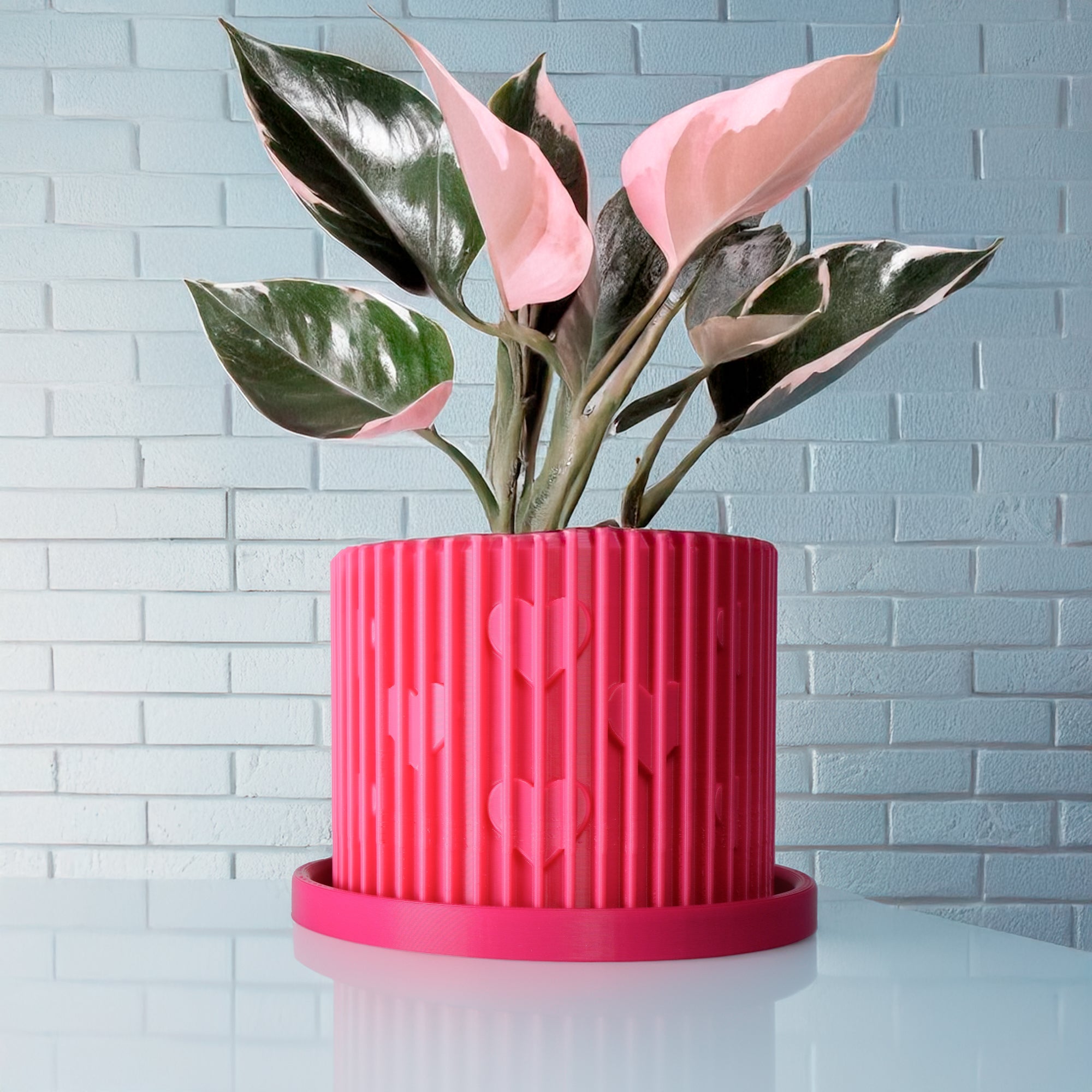 Modern Heart - Shaped Planter with Drainage & Saucer – Unique Valentine’s Day Gift for Plant Lovers, 3d Printed Planter Home Hosting Decor, - HearthHub