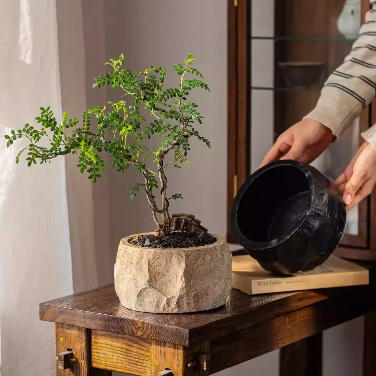 Mesa Cement Pot Planter - HearthHub