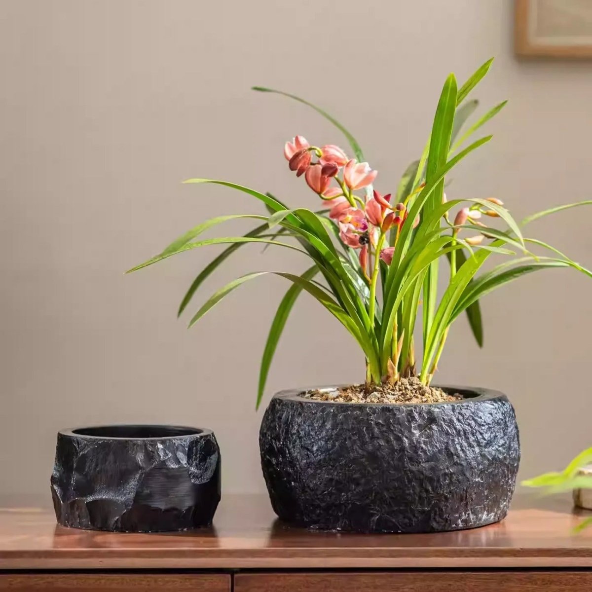 Mesa Cement Pot Planter - HearthHub