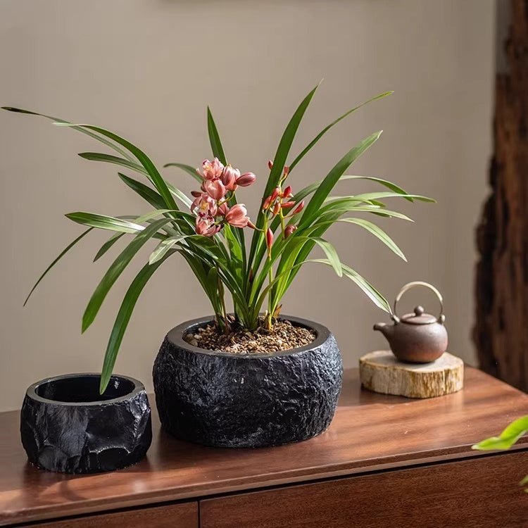 Mesa Cement Pot Planter - HearthHub