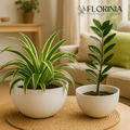 2 - Piece White Plastic Planter Bowls – Modern Minimalist Design - HearthHub