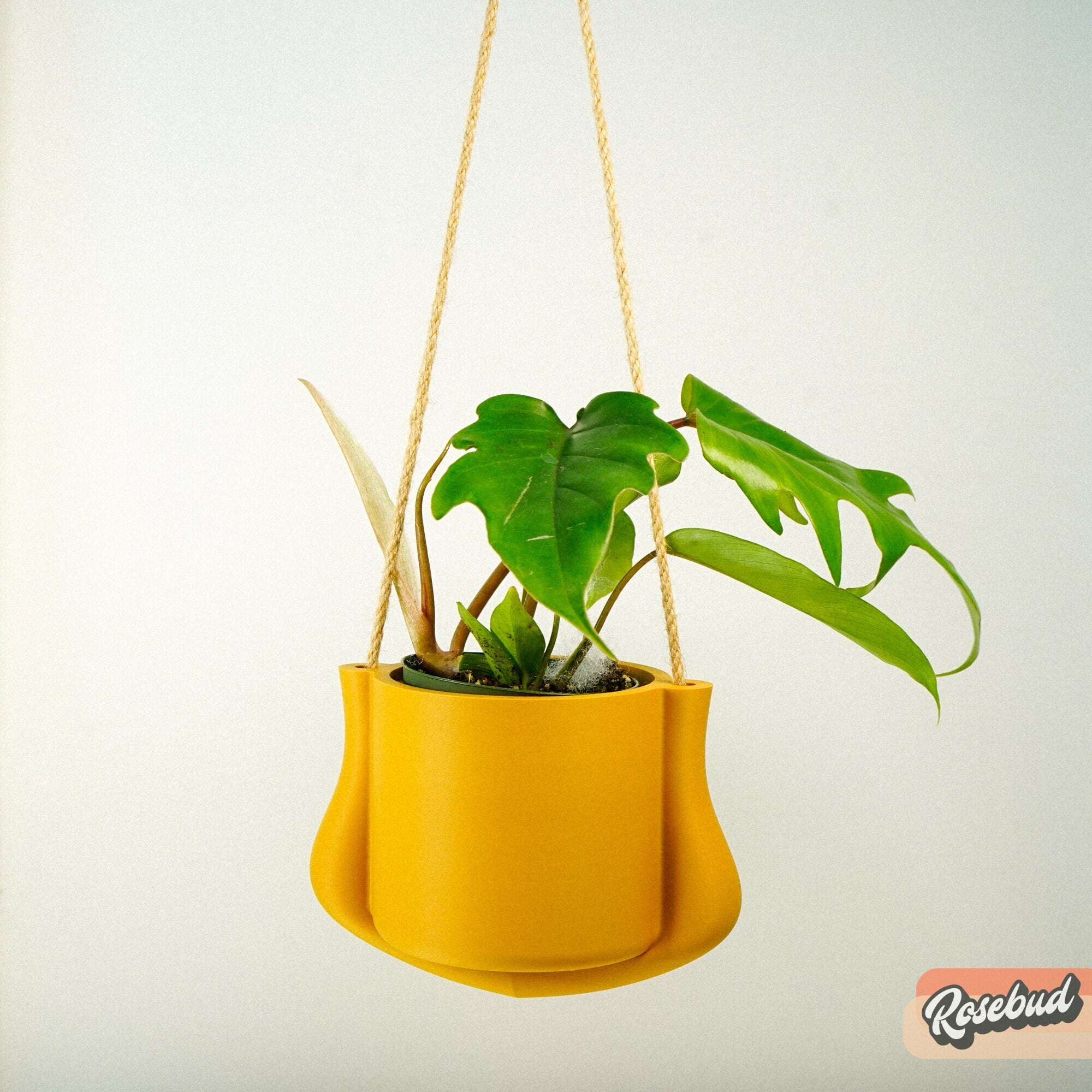 Hanging Planter - The Elysian - HearthHub